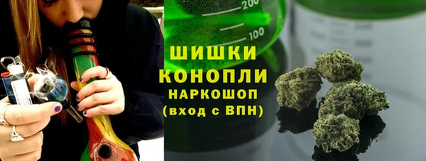 индика Дмитровск