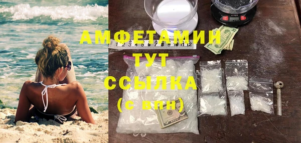 индика Дмитровск