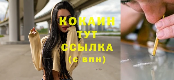 индика Дмитровск