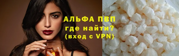 индика Дмитровск