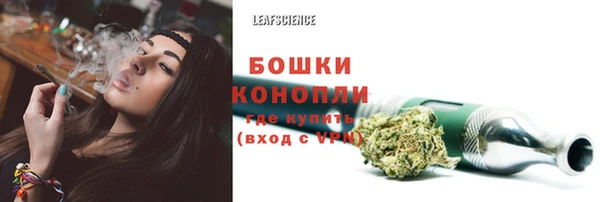 индика Дмитровск