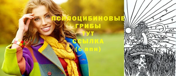 индика Дмитровск