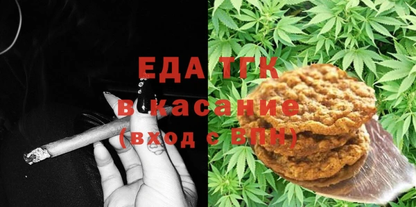 индика Дмитровск