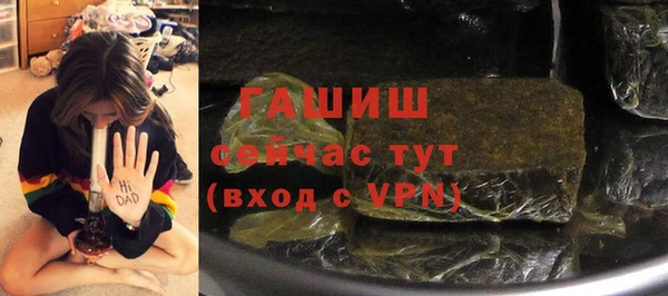 индика Дмитровск