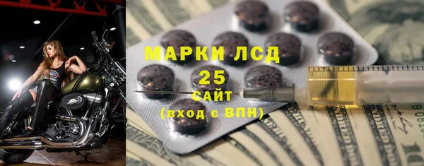 индика Дмитровск