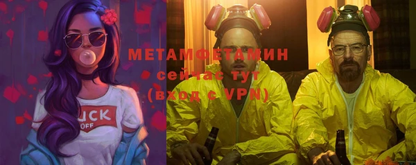 индика Дмитровск