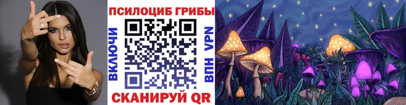 Купить где  Емва  Псилоцибиновые грибы ЛСД 